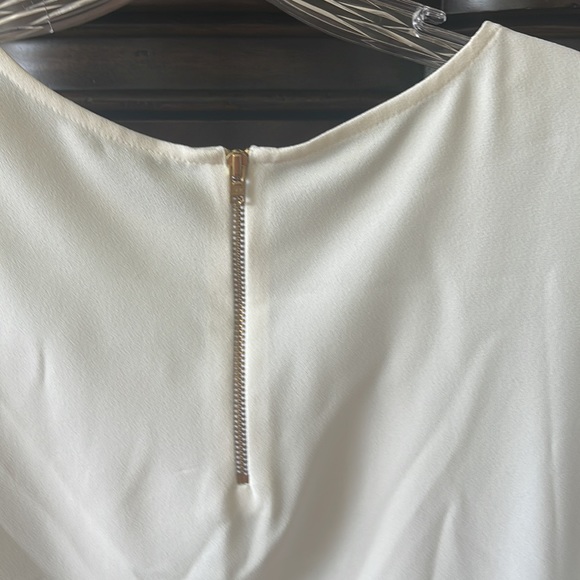 NWT, Zara shift dress. Size M - Picture 3 of 5